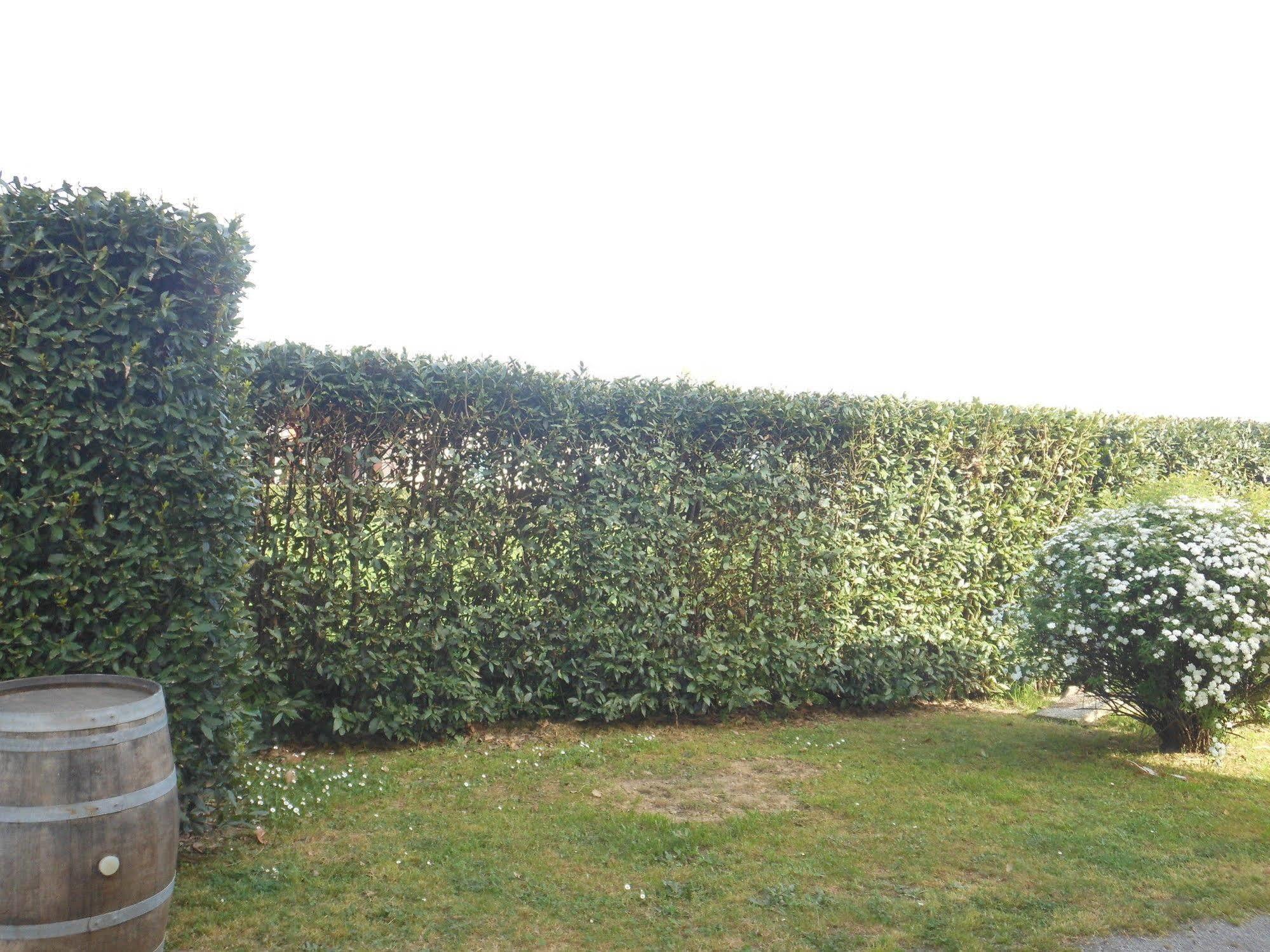 B&B La Corte Capannori Exterior foto